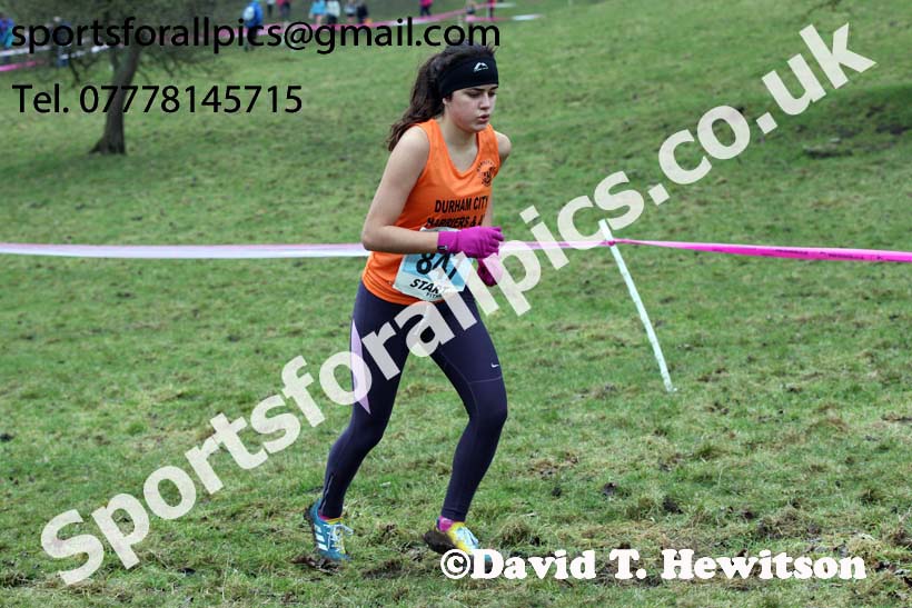 Womens under-17s and under-20s, Start Fitness NEHL, Thornley Hill Farm, Peterlee, County Durham. Photo: David T. Hewitson/Sports for All Pics